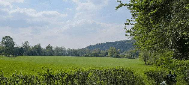 Una vista muy verde en Box Hill